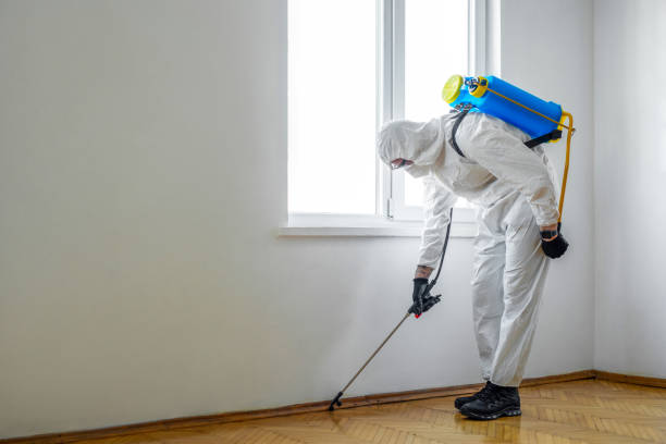 Pest Control for Hotels in Hollins, VA